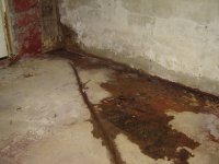 basement.jpg