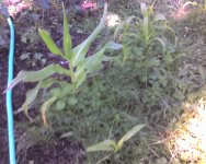 Jul24_0003.jpg