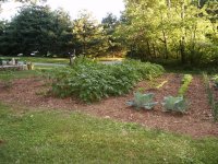 garden081.JPG