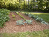 garden082.JPG