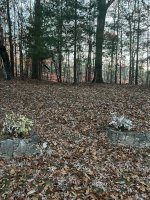 IMG_1493.jpeg