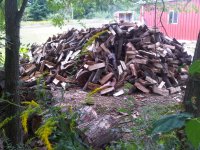 woodpile.jpg