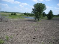 DSCN1690.JPG