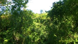 100_1063.jpg
