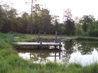 pond 021.jpg