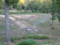 IMG_1112.jpg