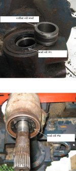 collar and seal oil.JPG