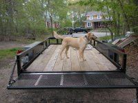 flood and trailer 085.jpg
