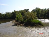 DSC00797.JPG