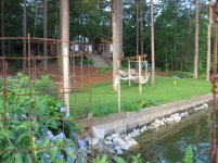 Garden_June 025.jpg