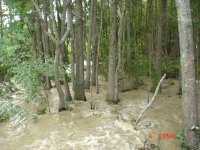 DSC00817.JPG