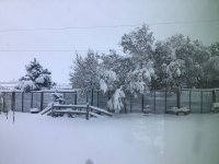IMG_1461.jpeg