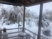 IMG_1460.jpeg