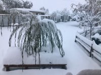 IMG_1462.jpeg