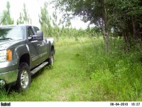 Trailcam1 1158a.jpg