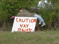 stuck in bale.jpg