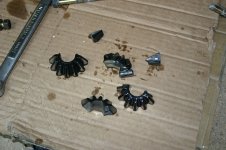 IMG_3550.jpg