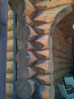 image-319484074.png