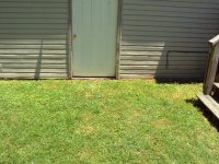 Outside 3.JPG