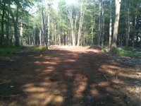 Land Reclaim 7.jpg