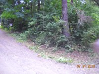 7-31-10 034.JPG