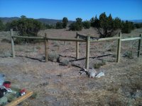 fence 11.jpg