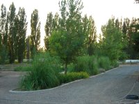 DSCN2229.JPG