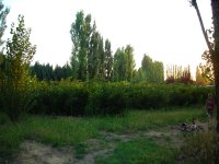 DSCN2236.JPG