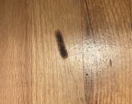 IMG_5598.jpeg