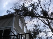 IMG_0978.jpg