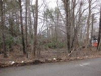 IMG_0995.jpg