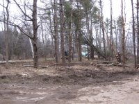 IMG_1006.jpg