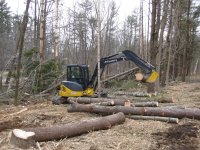IMG_1019.jpg