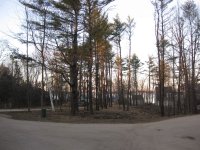 IMG_1057.jpg
