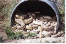 image-1596127868.png