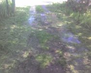 May09_0003.jpg