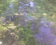 May09_0006.jpg