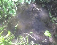 May09_0007.jpg