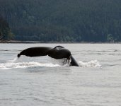 alaska1.jpg