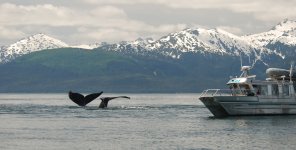 alaska4.jpg