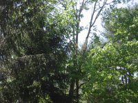 IMG_4470.JPG