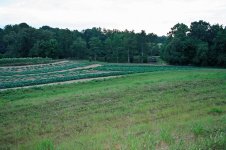field view 2.jpg