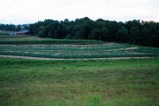 field view 3.jpg