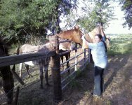 PB with PITA Buck and Pancho.jpg