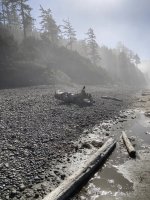IMG_4347.jpeg