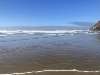 IMG_4338.jpeg