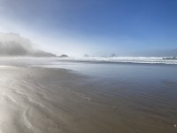 IMG_4336.jpeg