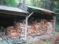 8-205788-wood!copy.jpg