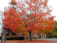35-205959-501church.jpg