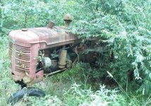 304103-Farmall#1.jpg